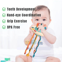 Sensory Development Baby Toys